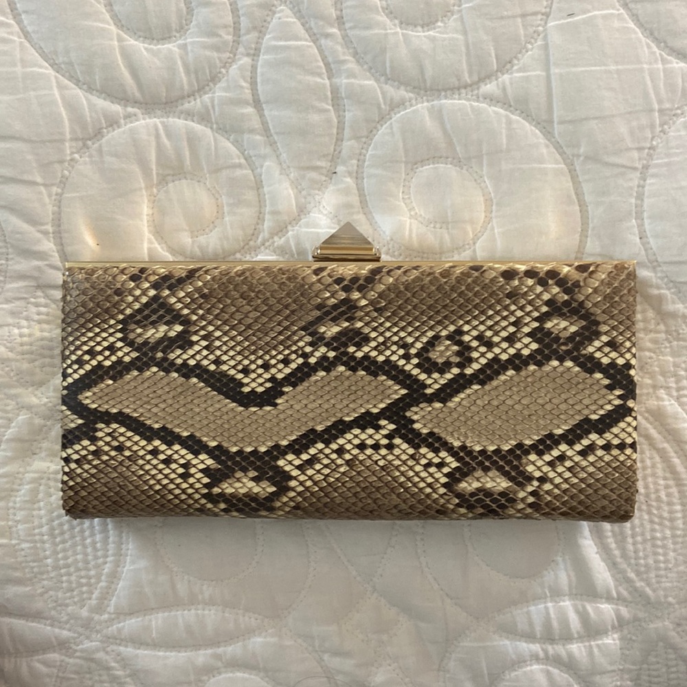 Christian Louboutin snake skin clutch